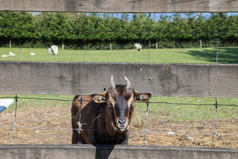 Photo of property in 103 Alma Road, Westport, 7892