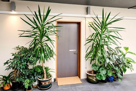 Photo of property in 9/208 Jackson Street, Petone, Lower Hutt, 5012