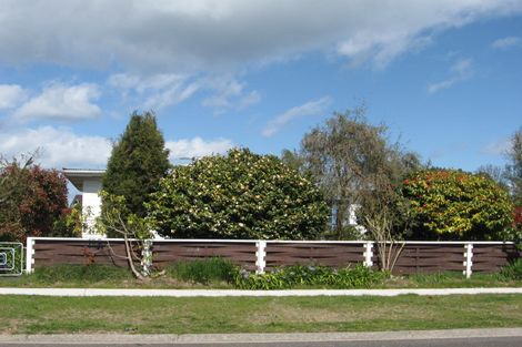Photo of property in 39 Rimu Street, Taupo, 3330