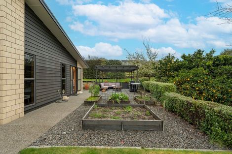 Photo of property in 44 Pheasant Close, Rotokauri, Hamilton, 3289