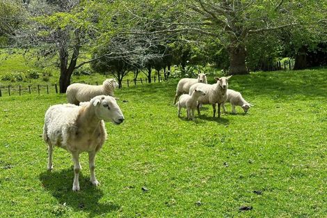 Photo of property in 1680 Tiki Sh25 Road, Preece Point, Coromandel, 3506