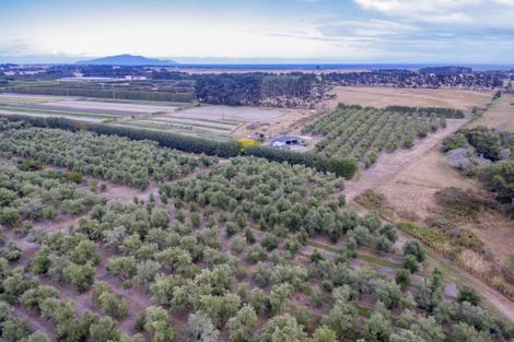 Photo of property in 22 Lethbridge Street, Feilding, 4702