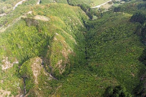 Photo of property in 106 Harrison Hill Road, Aokautere, 4471