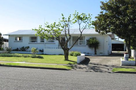 Photo of property in 14 Gilbert Street, Witherlea, Blenheim, 7201