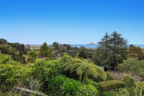 Photo of property in 36 Hillcrest Road, Whakatane, 3120