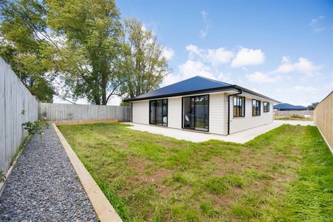 Photo of property in 166b Bridge Street, Bulls, 4818