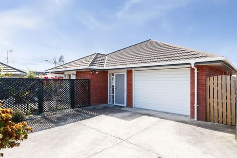 Photo of property in 5a Carroll Street, Palmerston North, 4410