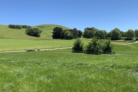 Photo of property in 11 Sinclair Road, Browns, Winton, 9782