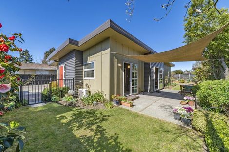 Photo of property in 8b Taiaroa Place, Southbridge, 7602