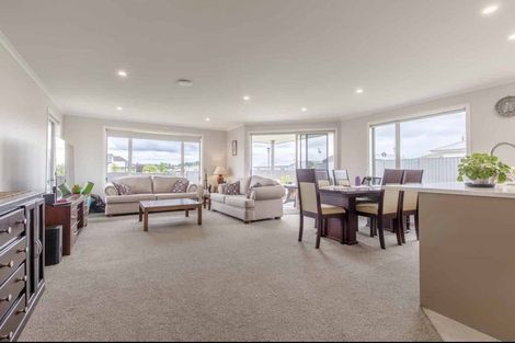 Photo of property in 33 Belgrove Drive, Waipukurau, 4200