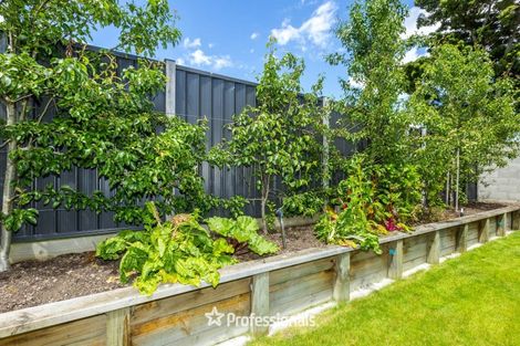 Photo of property in 15 Gilruth Road, Wallaceville, Upper Hutt, 5018