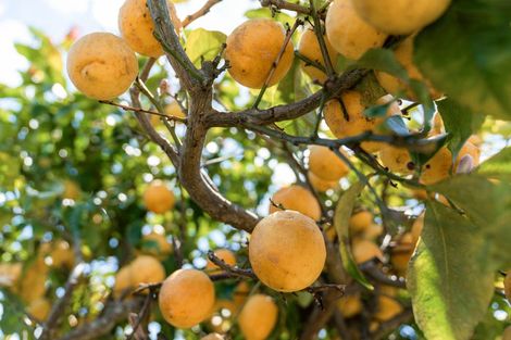 Photo of property in 91 Kahira Crescent, Papamoa Beach, Papamoa, 3118