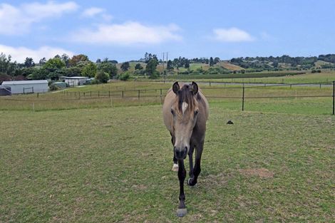 Photo of property in 141 George Harvey Road, Upper Moutere, 7173