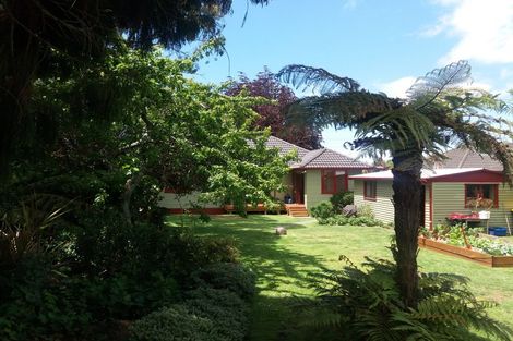 Photo of property in 25 Kensington Road, Waihi, 3610