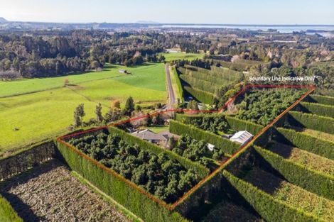 Photo of property in 203 Rea Road, Tahawai, Katikati, 3178