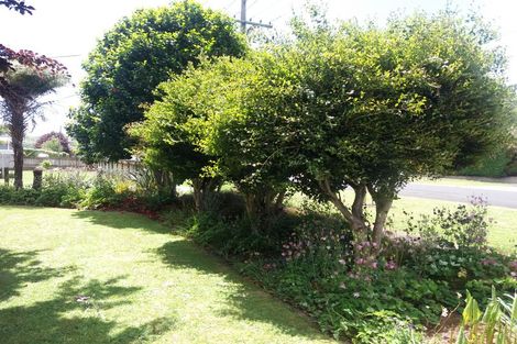 Photo of property in 25 Kensington Road, Waihi, 3610