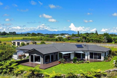 Photo of property in 39 Matarikoriko Road, Brixton, Waitara, 4382