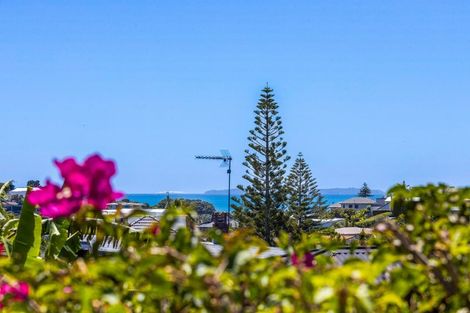 Photo of property in 1/46 Matipo Road, Mairangi Bay, Auckland, 0630