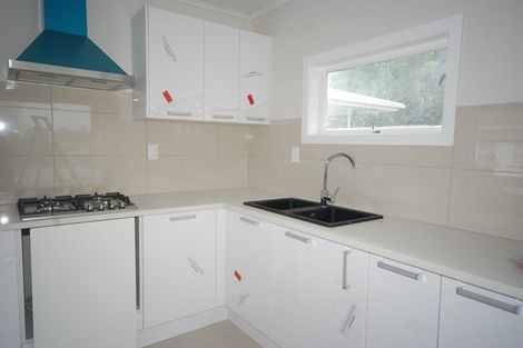 Photo of property in 100 Oakdale Road, Mount Roskill, Auckland, 1041