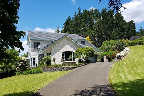 Photo of property in 17 Wallace Place, Tauriko, Tauranga, 3110