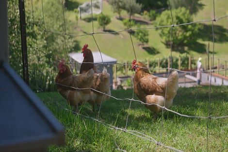 Photo of property in 16 Corbett Drive, Minden, Tauranga, 3176