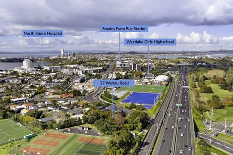Photo of property in 37 Wairau Road, Forrest Hill, Auckland, 0627
