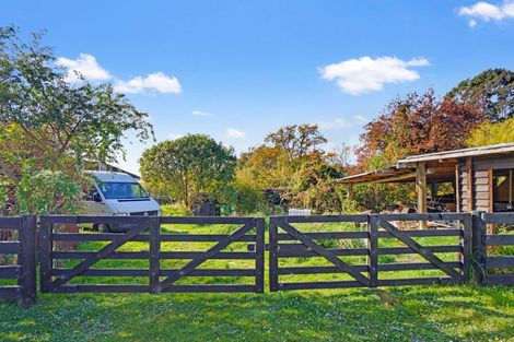Photo of property in 20 Appleby Street, Hampden, 9410