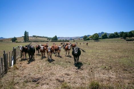 Photo of property in 4/11 Fencourt Road, Cambridge, 3496