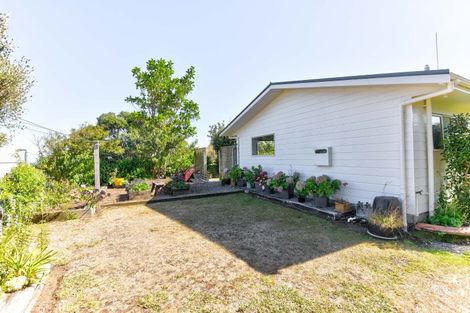 Photo of property in 47 Ngatarua Road, Putiki, Whanganui, 4500