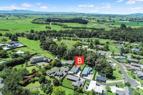 Photo of property in 8 Allendale Place, Morrinsville, 3300