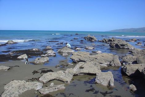 Photo of property in 1 Nunu Drive, Flat Point, Masterton, 5883