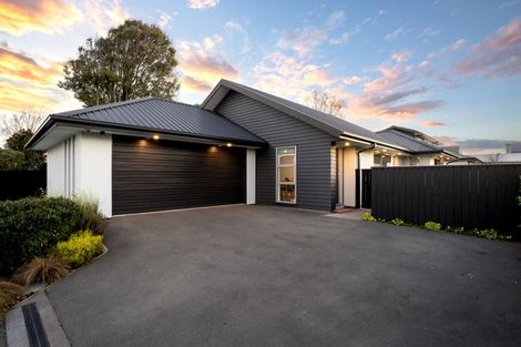 Photo of property in 21 Lindsay Street, St Albans, Christchurch, 8014