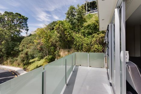 Photo of property in 1a Anderson Terrace, Mount Cook, Wellington, 6021