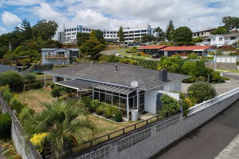 Photo of property in 113 Laurence Street North, Gate Pa, Tauranga, 3112