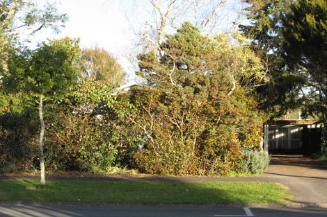 Photo of property in 8 Ngaere Avenue, Chartwell, Hamilton, 3210