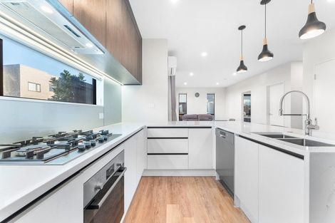 Photo of property in 15 Waterlily Street, Hobsonville, Auckland, 0616