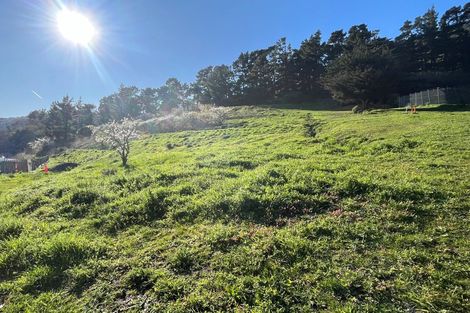 Photo of property in 11 Kairuri Lane, Heathcote Valley, Christchurch, 8022