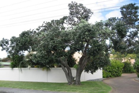 Photo of property in 4b Laurence Street, Manly, Whangaparaoa, 0930