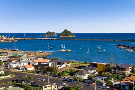 Photo of property in 38 Birdwood Avenue, Moturoa, New Plymouth, 4310