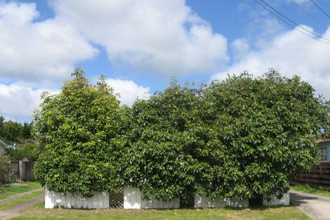 Photo of property in 300a Dickson Road, Papamoa Beach, Papamoa, 3118