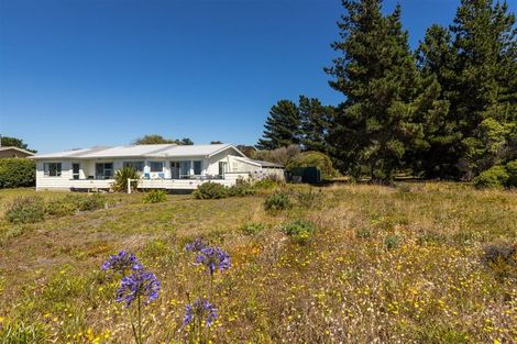 Photo of property in 64 Rarangi Beach Road, Rarangi, Blenheim, 7273