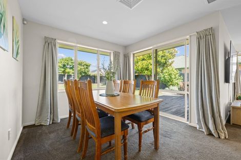 Photo of property in 19 Ballymena Drive, Belfast, Christchurch, 8051