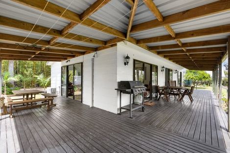 Photo of property in 15 Insley Street, Mangawhai, 0505