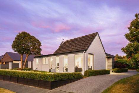 Photo of property in 5 Woodbank Street, Somerfield, Christchurch, 8024