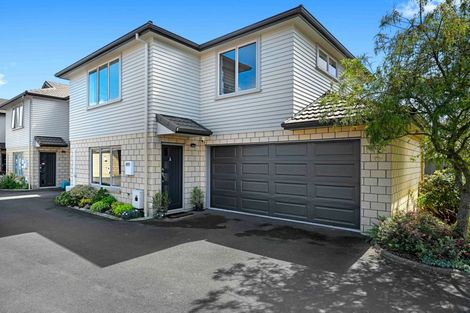 Photo of property in 3a Dudley Terrace, Frankton, Hamilton, 3204