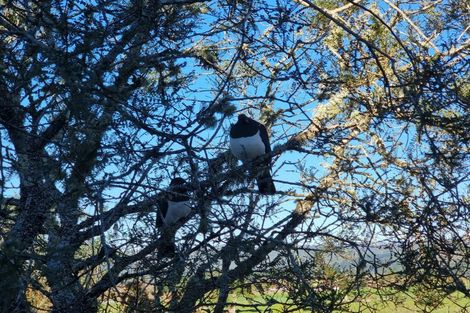 Photo of property in 286 State Highway 6, Coal Creek, Greymouth, 7802