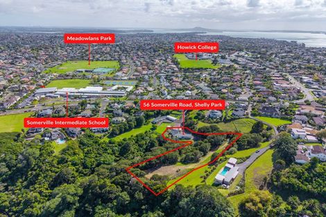 Photo of property in 56 Somerville Road, Shelly Park, Auckland, 2014