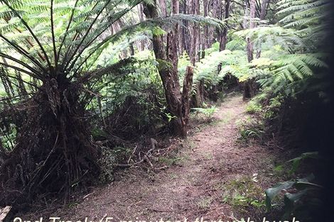 Photo of property in 90 Old Hospital Road, Whangaroa, Kaeo, 0478