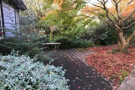 Photo of property in 43 Lawrence Street, Mornington, Dunedin, 9011