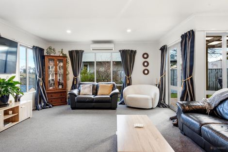 Photo of property in 22 Lachlan Place, Marchwiel, Timaru, 7910